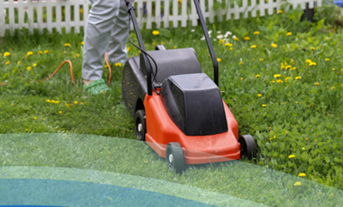Featured image of Spring & Summer Lawn Care Reminder