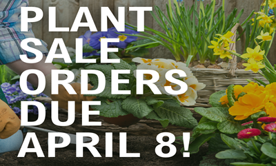 Order Your Plants Today!