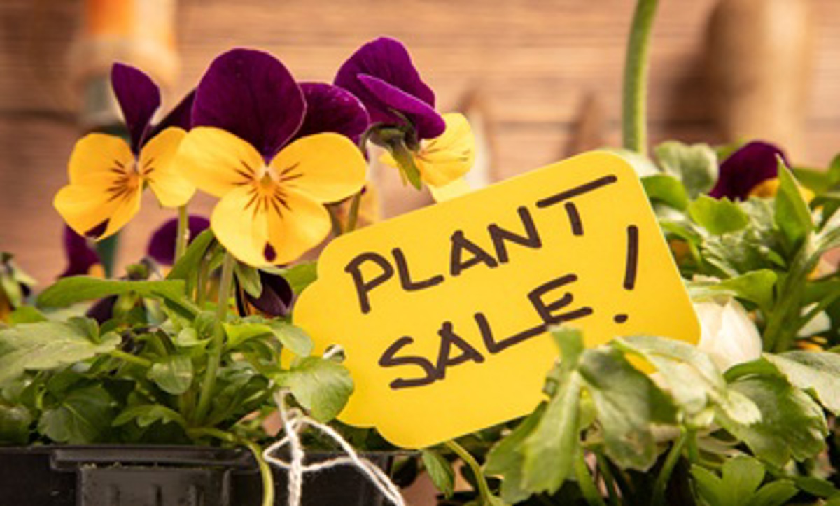 Featured image of Hinsdale South Native Plant Sale