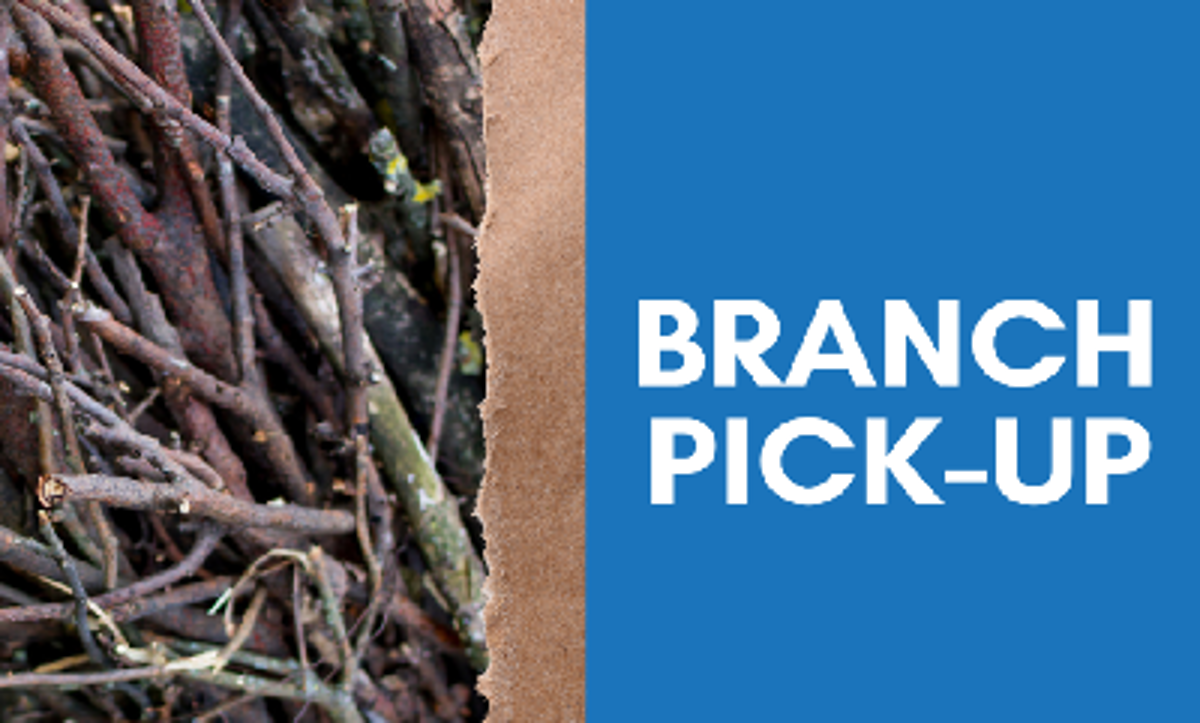 Featured image of Branch Pick-up - October 27