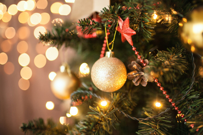 Holiday Celebration and Tree Lighting 2025