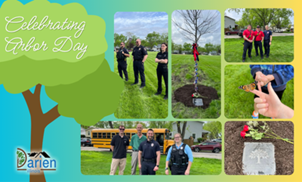 Featured image of An Arbor Day Celebration Thank You